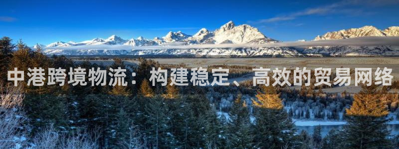 28圈怎么注册账号和密码