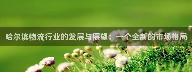 28圈注册网站链接