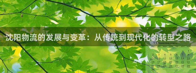 28圈是什么软件