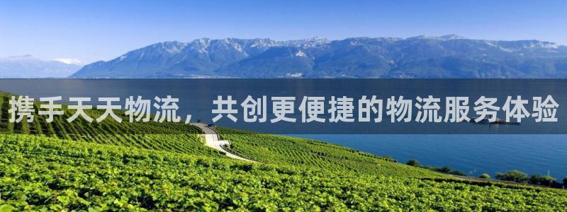 28圈游戏链接：携手天天物流，共创更