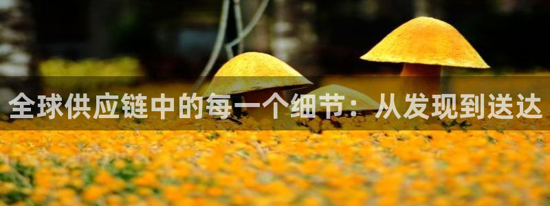 28圈游戏官网入口