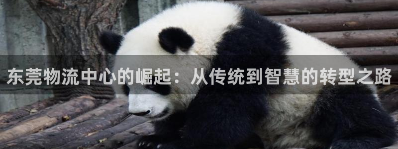 28圈自行车搞笑图片：东莞物流中心的