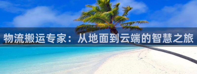 28圈注册网站：物流搬运专家：从地面