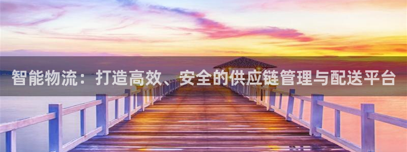 28圈pc预测：智能物流：打造高效、