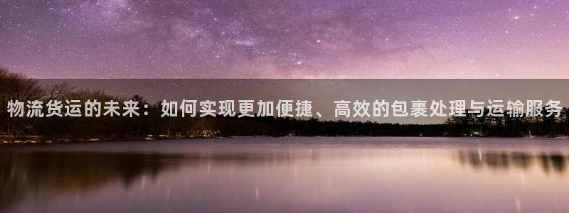 28圈提现不到账：物流货运的未来：如何实现更加便捷、高效的包
