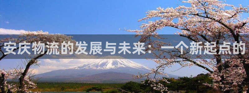 28圈app官网少林足球：安庆物流的