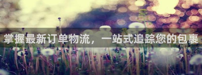 28圈.ccm：掌握最新订单物流，一