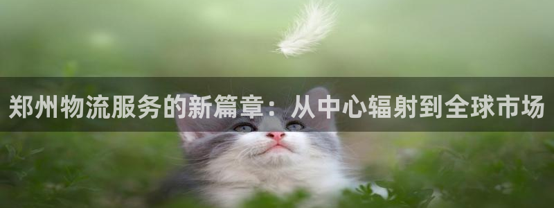 28圈pg如何退钱：郑州物流服务的新