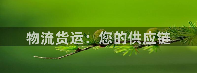 28圈加拿大官网：物流货运：您的供应