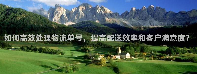 28圈加拿大技巧：如何高效处理物流单