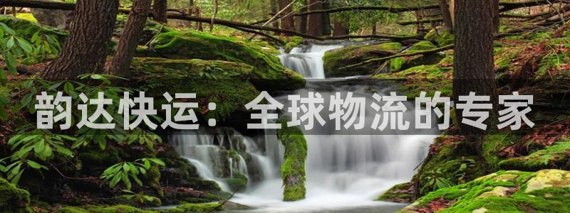 28圈体育下载：韵达快运：全球物流的