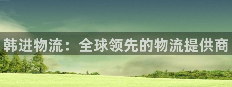 28圈加拿大技巧：韩进物流：全球领先