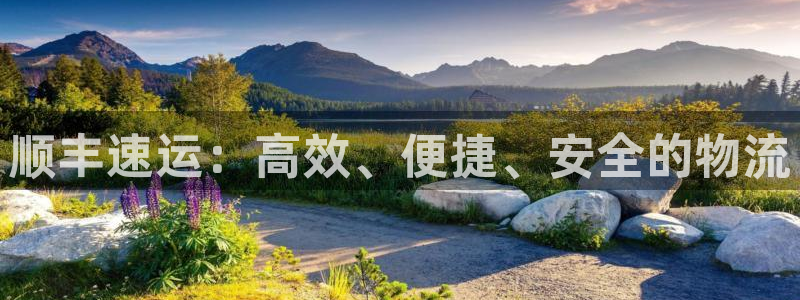 28圈游戏最新版：顺丰速运：高效、便