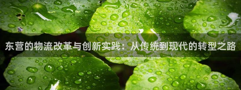 28圈.ccmpc正版：东营的物流改