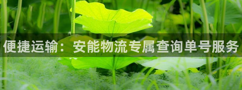 28圈注册链接入口