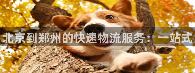 28圈注册链接入口