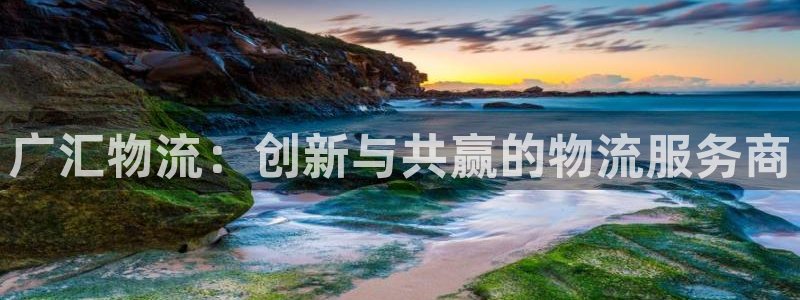 28圈推广链接是多少钱一个：广汇物流