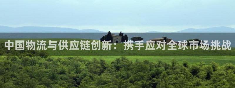 28圈充值：中国物流与供应链创新：携