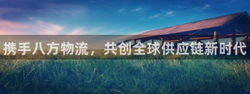 28圈提现不到账：携手八方物流，共创