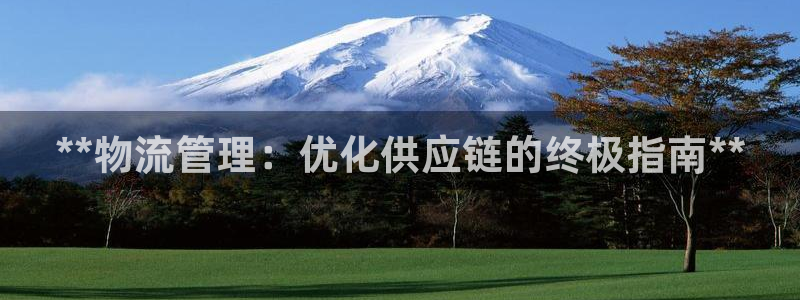 28圈能提现吗：**物流管理：优化供