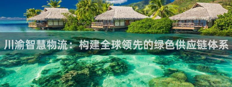 28圈下载体育：川渝智慧物流：构建全