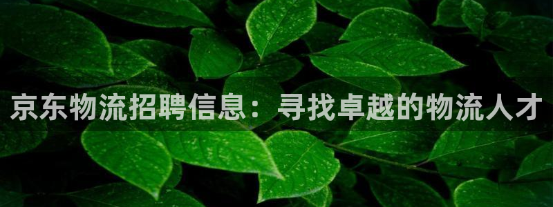 28圈官网注册：京东物流招聘信息：寻