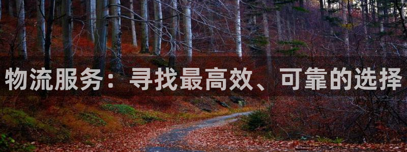 28圈在线预测官网：物流服务：寻找最高效、可靠的选择