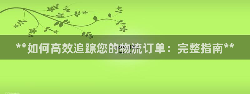 28圈app官网少林足球