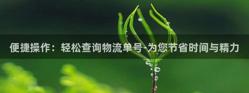 28圈分分28预测：便捷操作：轻松查