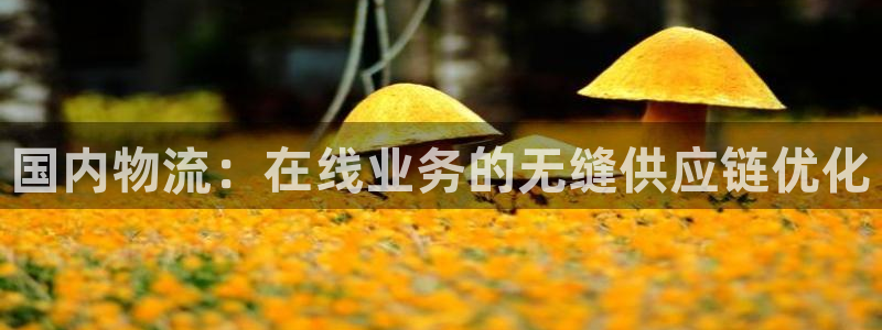 28圈充值金额随便