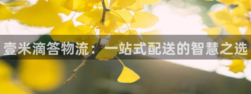 28圈取保：壹米滴答物流：一站式配送