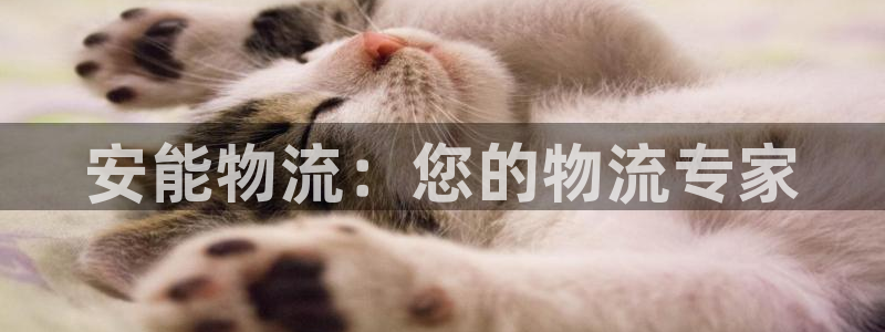 28圈南宫娱乐官网