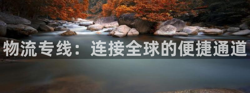 28圈预测加拿大师准