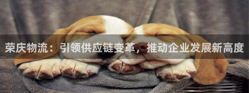 28圈加拿大技巧