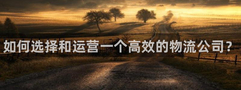 28圈充值不处理怎么办