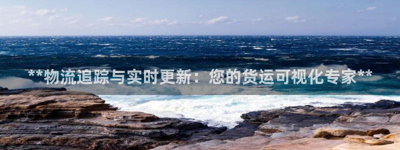 28圈二维码：**物流追踪与实时更新