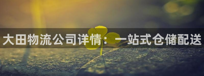 28圈官网平台下载:大田物流公司详情