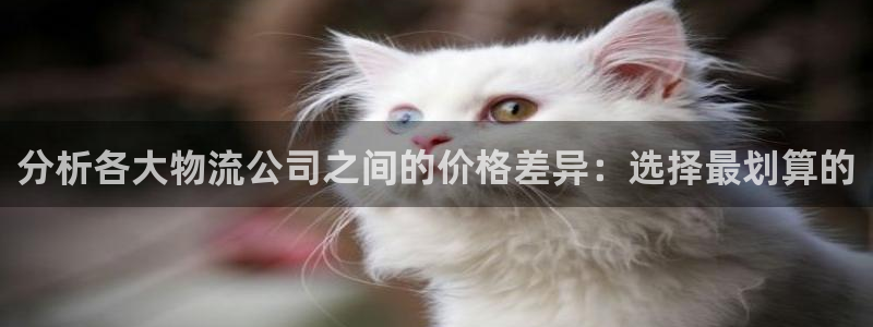 28圈app官网少林足球