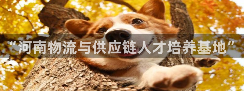 28圈游戏官网平台