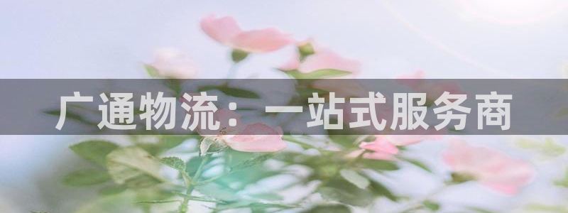 28圈怎么下载教程