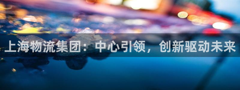 28圈注册限制怎么解除：上海物流集团：中心引领，创新驱动未来