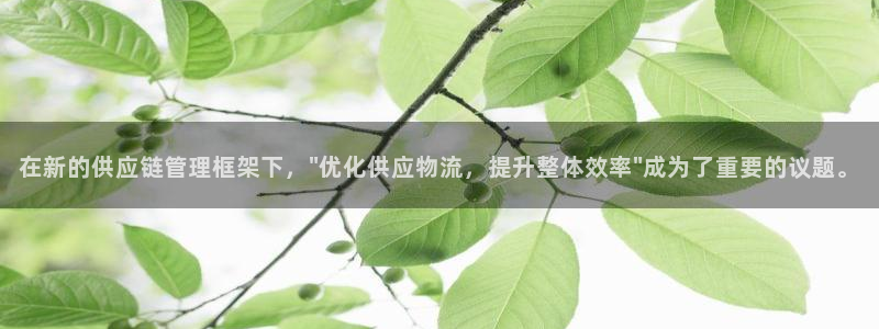 28圈网赌有什么风险:在新的供应链管