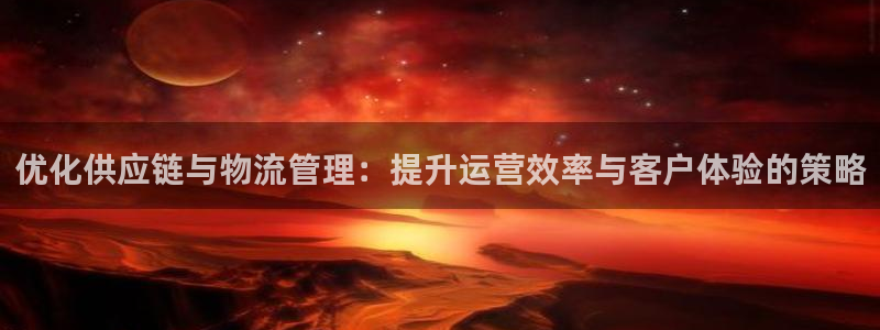 28圈:优化供应链与物流管理:提升运