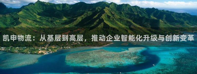 28圈模拟器在线使用:凯申物流:从基