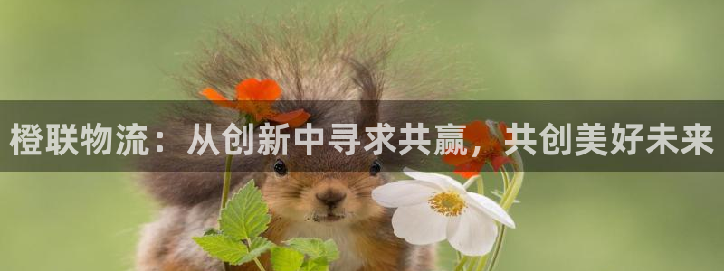 加拿大28圈数字规则：橙联物流：从创