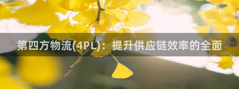 28圈起来的符号：第四方物流(4PL