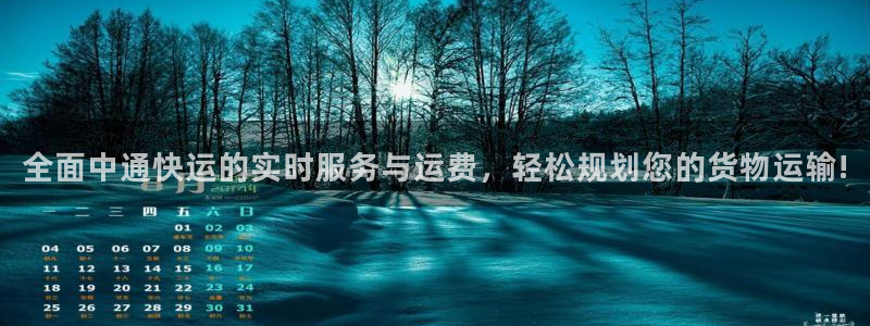 28圈的平台：全面中通快运的实时服务