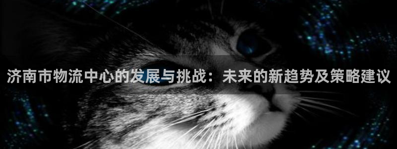 28圈怎么下载教程：济南市物流中心的