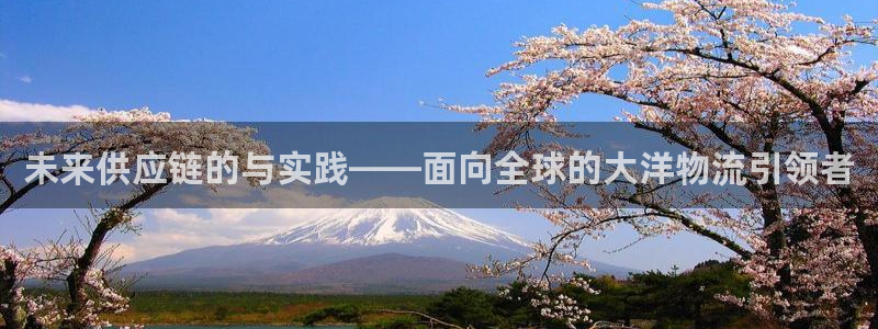 28圈充值不到账怎么回事