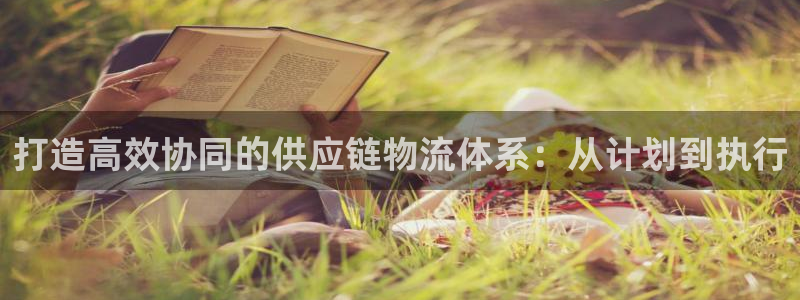 28圈注册上限是啥意思:打造高效协同